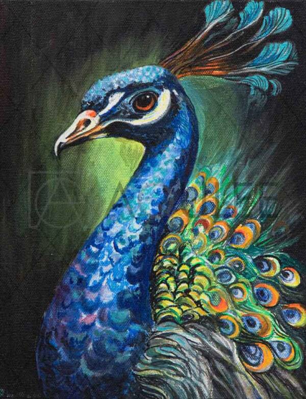 Peacock- "The Majestic Symphony: Elegance in Bloom" - Image 2